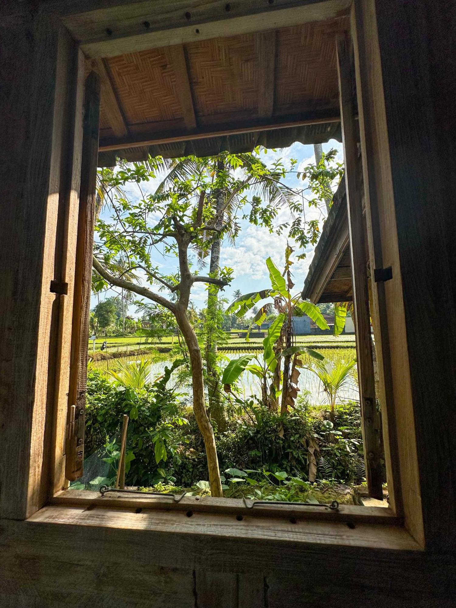 Hotel Nunu Bali Eco Friendly Retreat Canggu Exterior foto